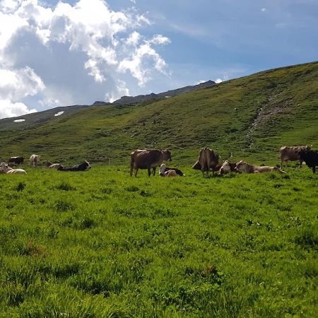 Agriturismo Malga Dell'Alpe Villa Valfurva Ngoại thất bức ảnh