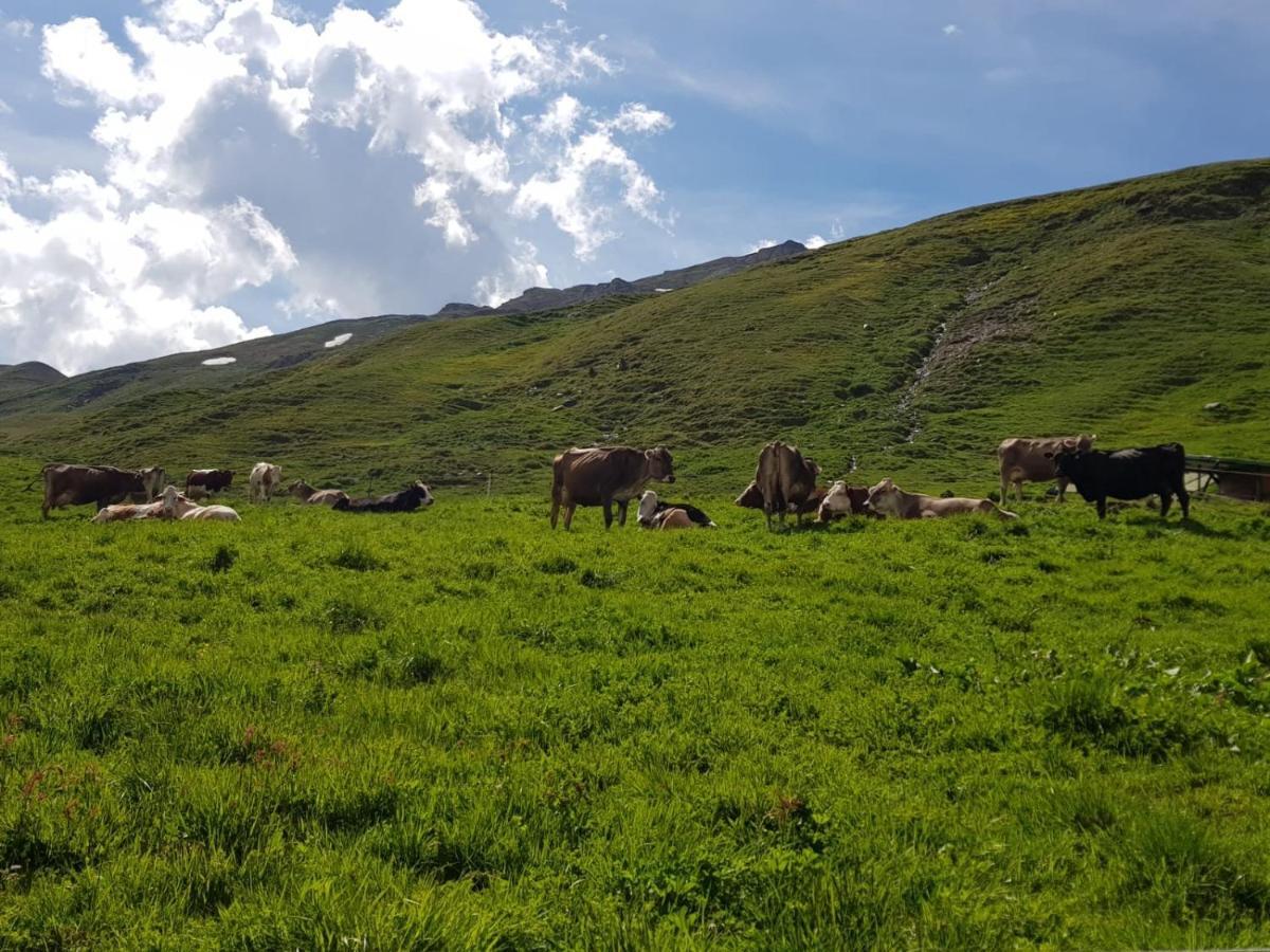 Agriturismo Malga Dell'Alpe Villa Valfurva Ngoại thất bức ảnh